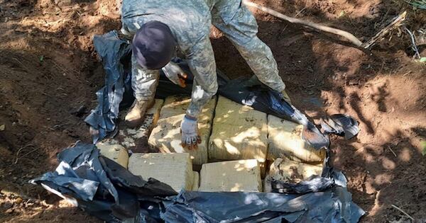 La Nación / Hallan 1.000 kg de marihuana