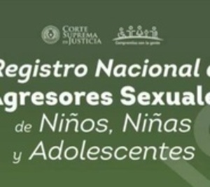 Registro de agresores sexuales de menores ya está disponible  - Paraguay.com