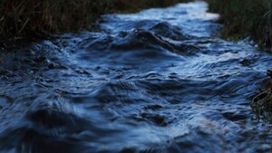 Tasa de descomposición en los ríos se acelera y puede agravar la crisis climática