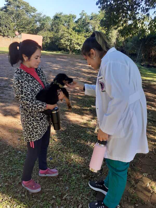 Éxito en Jornada de Castración y Vacunación en San Juan del Paraná
