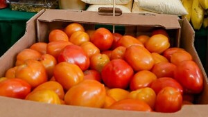 Precio de tomate, incluso el nacional, se dispara otra vez