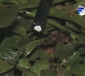 Niña de 9 años muere electrocutada en una Plaza en Piribebuy - Paraguay.com