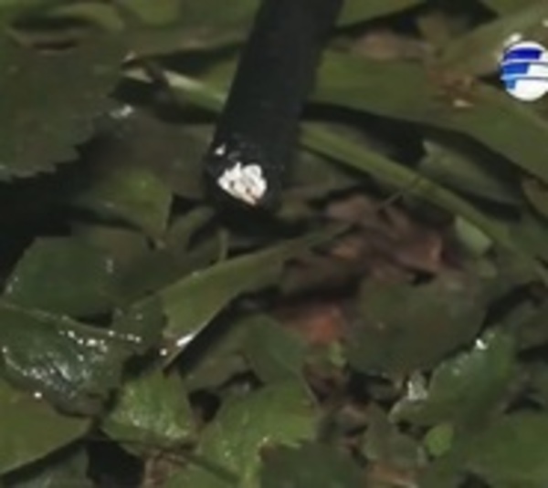 Niña de 9 años muere electrocutada en una Plaza en Piribebuy - Paraguay.com