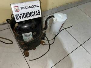 Apresaron a dos ñatos acusados de pelar una verdulería
