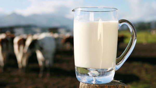 El potencial lácteo del Chaco impulsa la economía paraguaya en el Día Mundial de la Leche