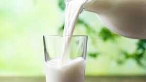 Día Mundial de la Leche: ¿Cuáles son sus beneficios nutricionales?