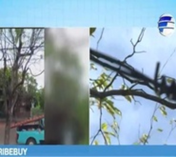 Electrocución y muerte de niña en plaza fue por conexión irregular - Paraguay.com