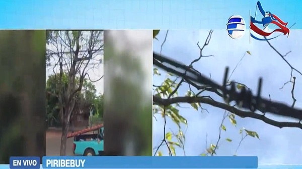 Conexión irregular habría ocasionado muerte de niña en una plaza - Noticias Paraguay