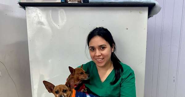 La Nación / Tips para proteger a tus mascotas de las bajas temperaturas