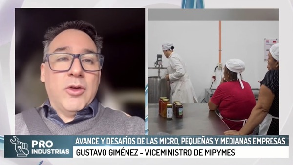 Avance y desafíos de las micro, pequeñas y medianas empresas - Megacadena - Diario Digital