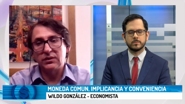 Moneda común, implicancia y conveniencia - Megacadena - Diario Digital