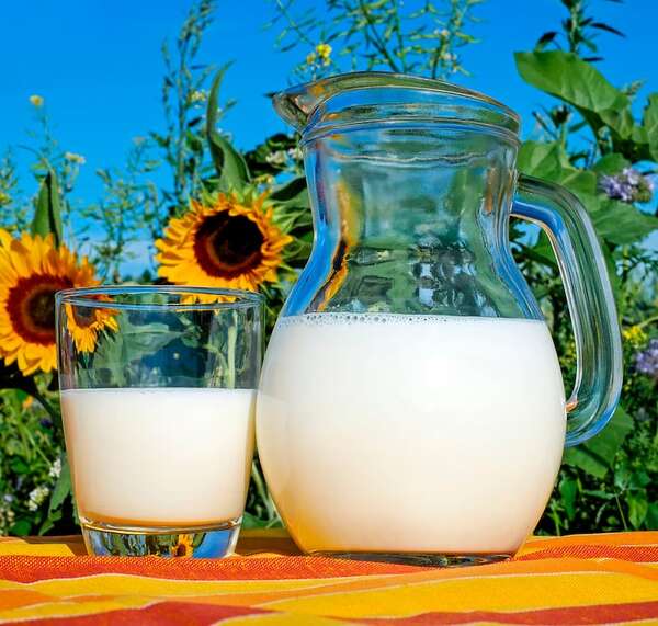 Hoy es el “Día mundial de la leche” - Nacionales - ABC Color