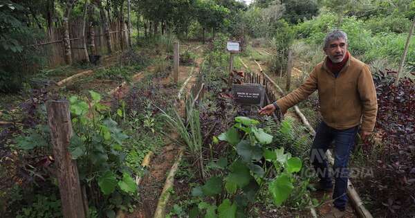 La Nación / Un diálogo itinerante con la naturaleza y su poder terapéutico
