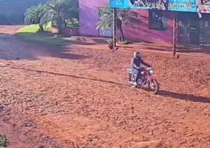 Mondaha la sorprendió en su propio patio mientras tomaba mate
