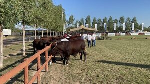 Paraguay será sede del 9no. Congreso Internacional de Reproducción Animal