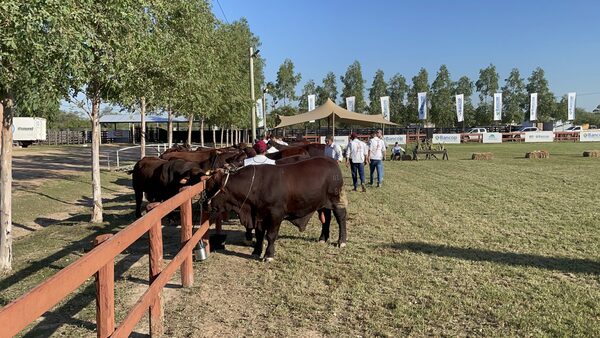 Paraguay será sede del 9no. Congreso Internacional de Reproducción Animal