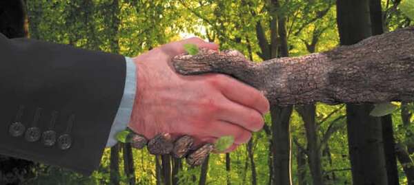 Compromiso verde