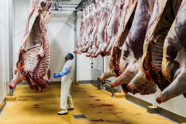 Carne paraguaya se posiciona en el mercado estadounidense