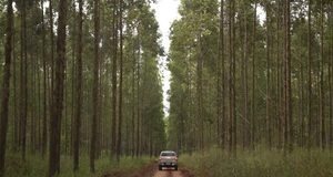 Obra vial en Itapúa prioriza medio ambiente y beneficia a más de 20.000 personas