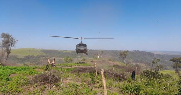 Diario HOY | Anulan 517 mil kilos de marihuana en seis días