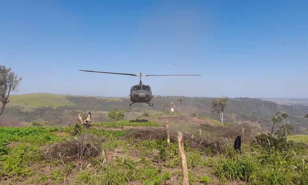 Anulan 517 mil kilos de marihuana en seis días – Prensa 5
