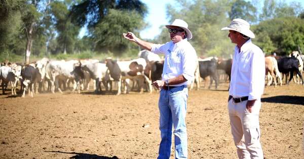La Nación / Abordaron sobre cómo ser eficientes en la recría para el Chaco central
