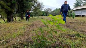 Preparan la competencia Plantatón 2024