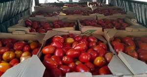 La Nación / Incautan 920 kilos de tomate de contrabando de Brasil y procesan al conductor