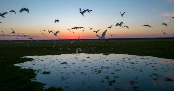 La Nación / Mades destaca avances en política ambiental, en semana del medio ambiente