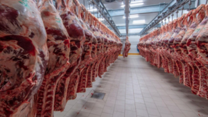 Paraguay se abre camino al mercado estadounidense para su carne bovina - trece