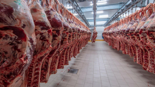Paraguay se abre camino al mercado estadounidense para su carne bovina - trece