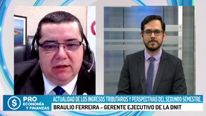 Ingresos tributarios y perspectivas del segundo semestre - Megacadena - Diario Digital