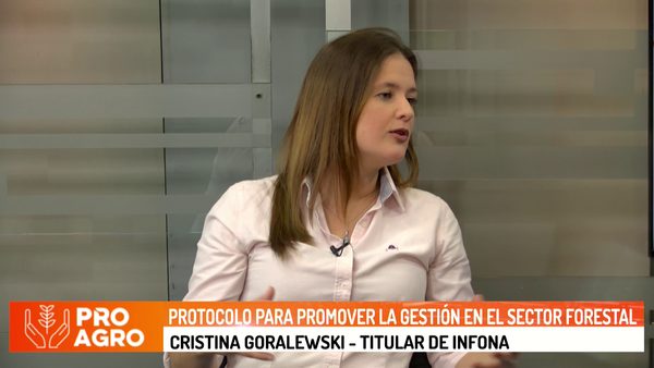Protocolo para promover la gestión en el sector forestal - Megacadena - Diario Digital