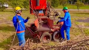 Sin desperdicio: Gema Solución Ambiental convierte en abono los residuos de podas y talas