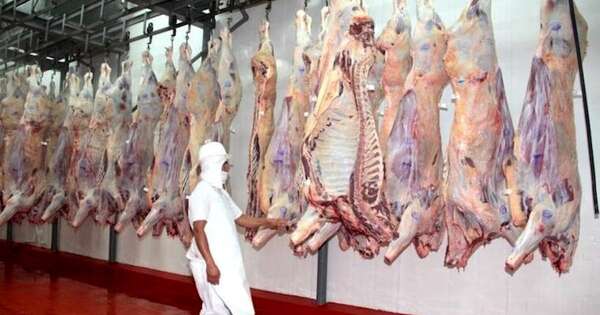 La Nación / Carne paraguaya se posiciona en el mercado estadounidense