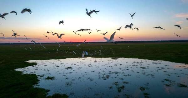 La Nación / Mades destaca avances en política ambiental