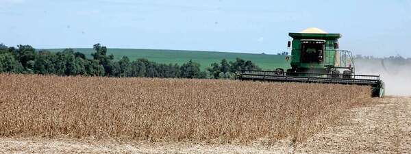 Industria aceitera argentina: “Paraguay es una topadora” - Economía - ABC Color