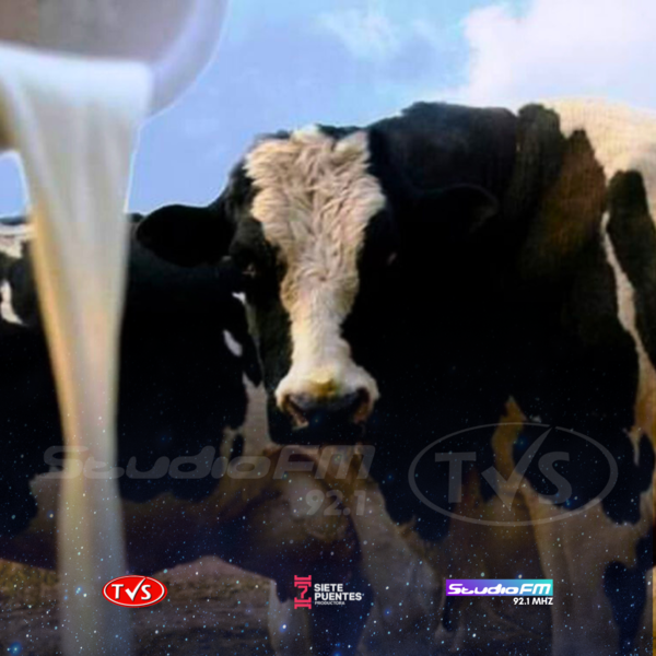 HOHENAU: SE CONMEMORA EL DÍA DE LA LECHE - TVS