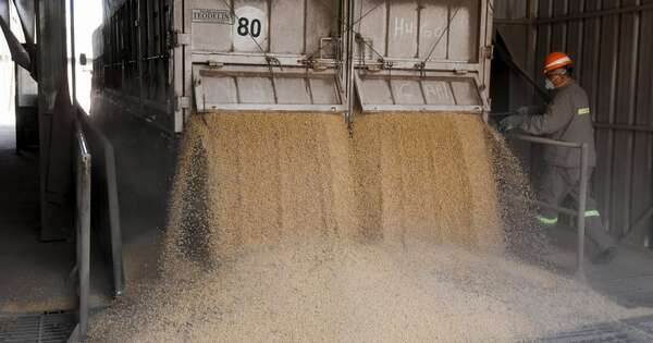 La Nación / Paraguay será la “gran fábrica sojera”, según industriales argentinos