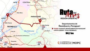 Licitan estudios y diseño final de ingeniería de la “Ruta del Arroz” de la Región Oriental - Amigo Camionero