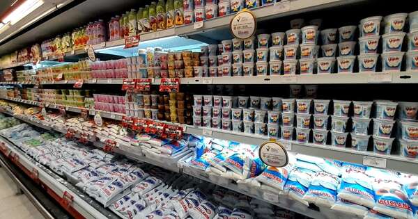 La Nación / Afirman que Paraguay es uno de los países del Mercosur que aumentaron su producción láctea