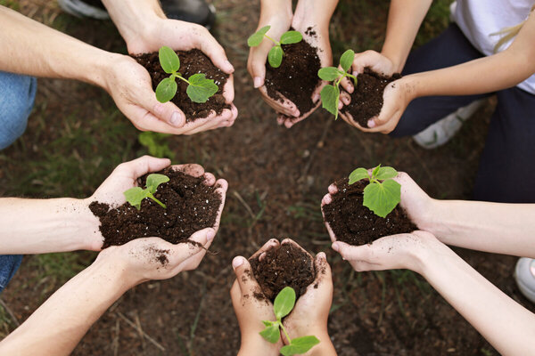 Día del Medio Ambiente: La conservación es responsabilidad de todos - Portal Digital Cáritas Universidad Católica