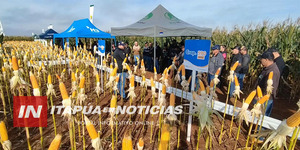DÍA DE CAMPO EN COOPERATIVA NARANJITO: INNOVACIÓN Y TECNOLOGÍA PARA LOS PRODUCTORES - Itapúa Noticias