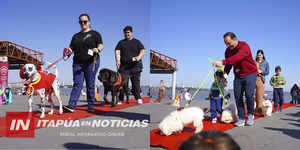 NOVEDOSO "DESFILE SOLIDARIO DE PERROS Y GATOS" SE REALIZÓ EL PASADO DOMINGO EN LA COSTANERA - Itapúa Noticias