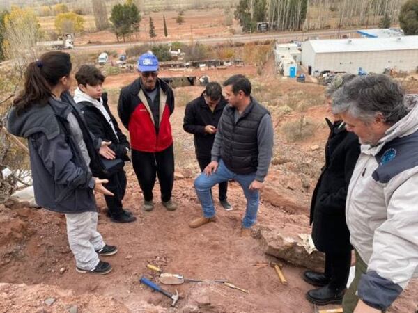 Niño de 12 años halla fósil de dinosaurio en Argentina - Ciencia - ABC Color