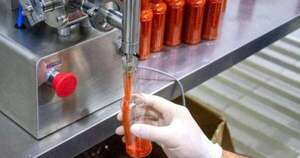 La Nación / Reos seguirán preparando salsa, e investigación sigue