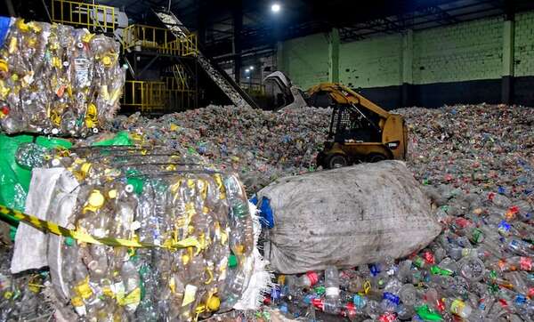 Economía circular que cuida el medio ambiente - Empresariales - ABC Color