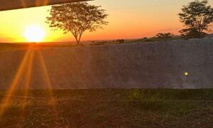 Calor para mitad de semana