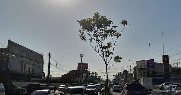 La Nación / Clima: el ambiente cálido a caluroso predominará durante la semana