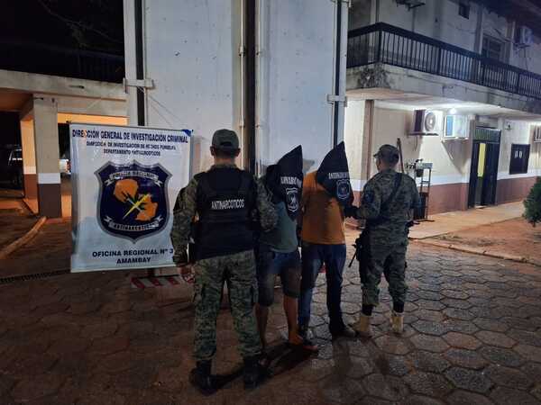 Antinarcóticos incautan más de 450 kilos de marihuana que eran transportadas en un camión - Oasis FM 94.3